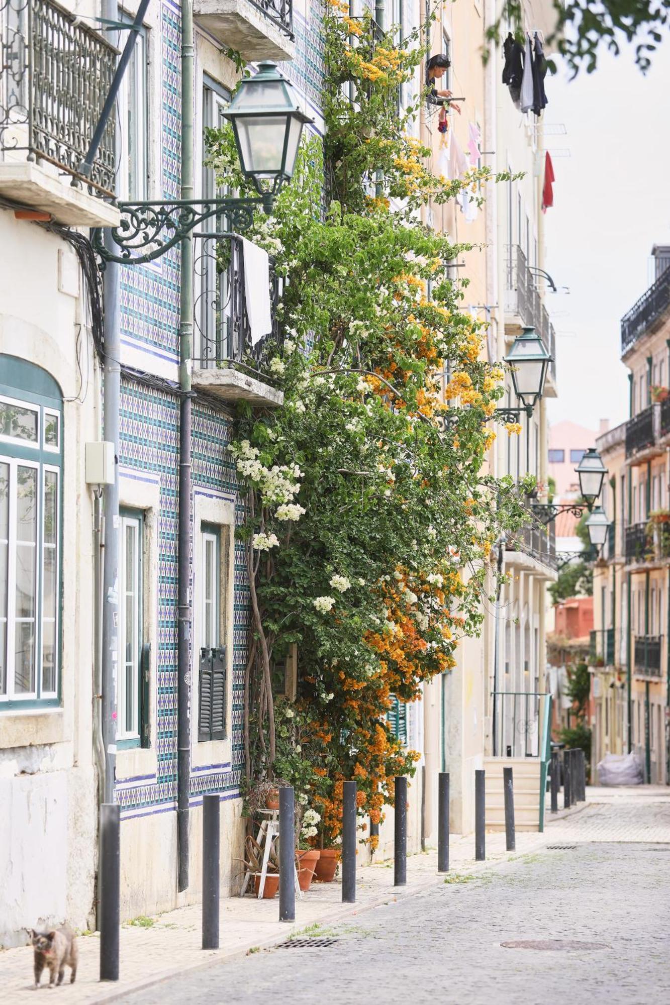 Bica Little House By Spoton Apartments Lisboa Pokoj fotografie